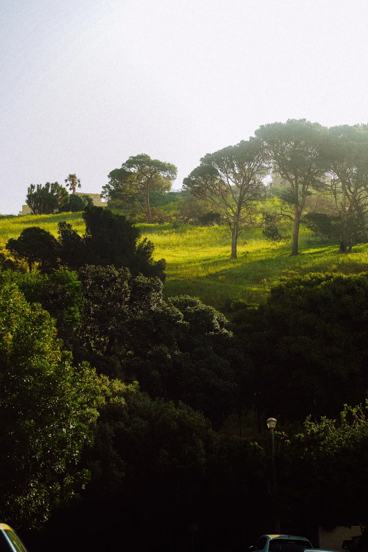 Expand Health — premium longevity clinic in Cape Town